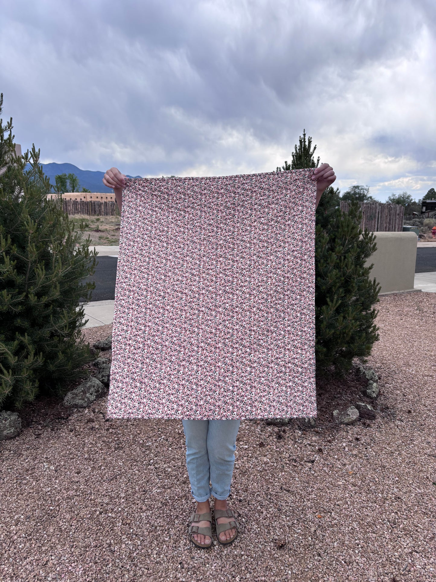 Blueberry Hill Baby Quilt